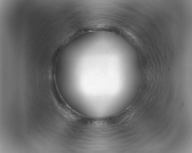 X0000068730546200605192322