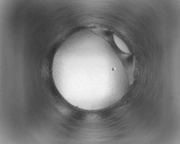 X0000068730547200605192322