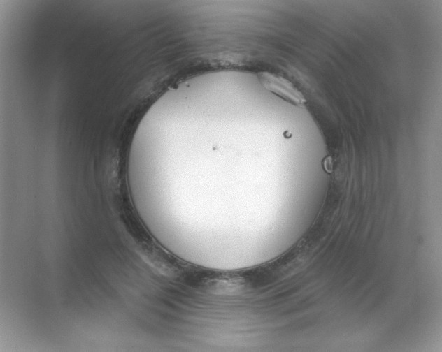 X0000068730548200605192322