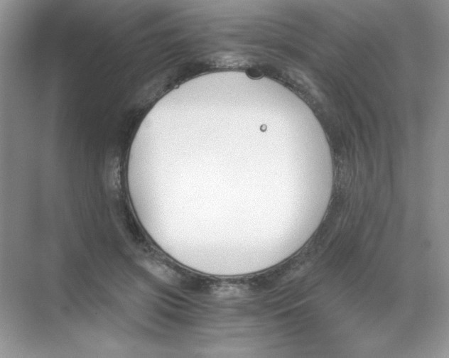 X0000068730549200605192322