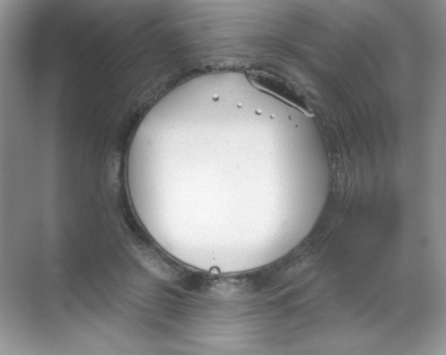 X0000068730550200605192322