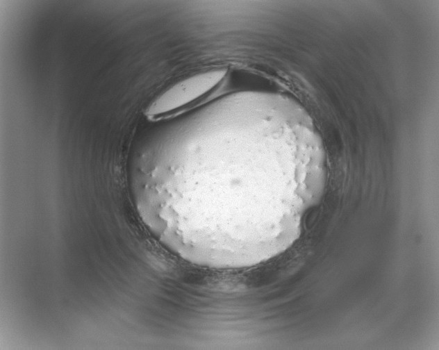 X0000068730553200605192322