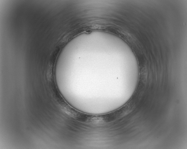 X0000068730554200605192322