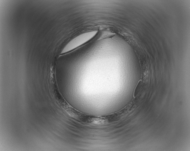 X0000068730555200605192322