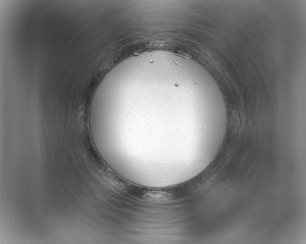 X0000068730557200605192322