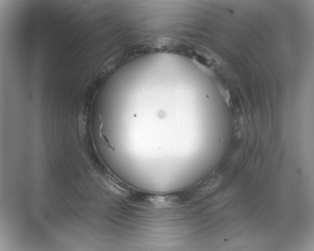 X0000068730558200605192322