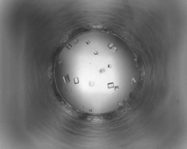 X0000068730559200605192322