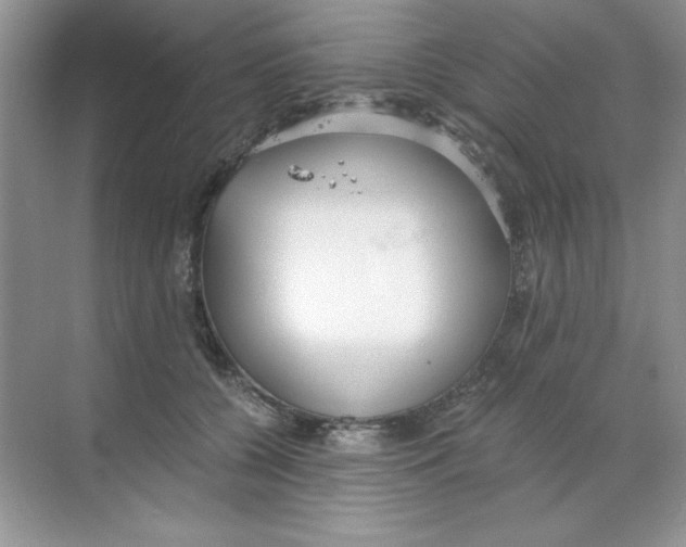 X0000068730560200605192322