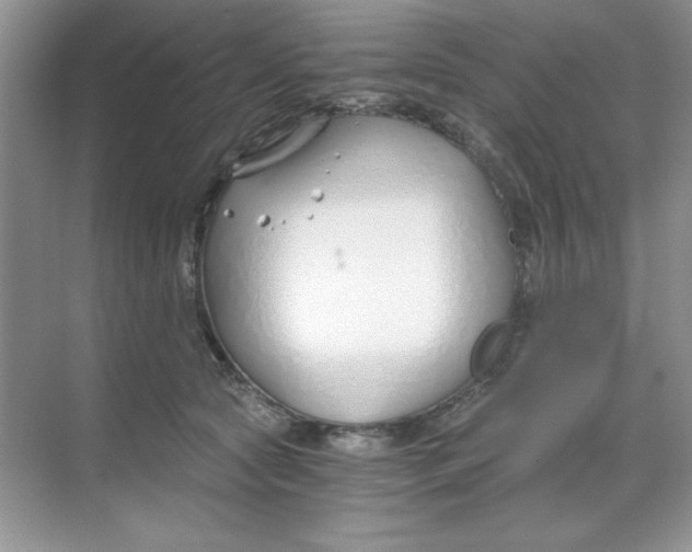 X0000068730561200605192322