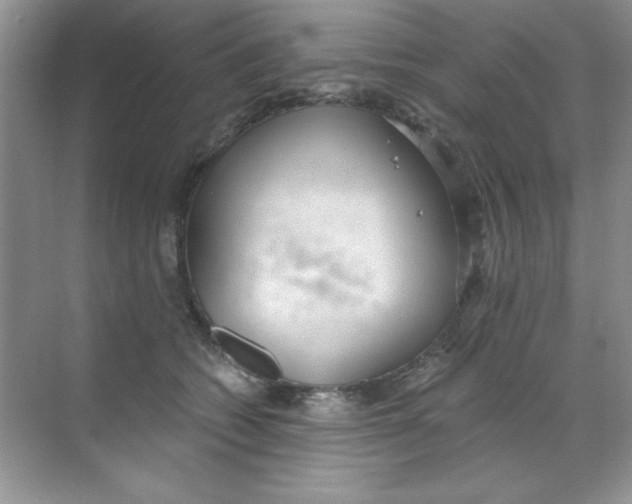 X0000068730562200605192322