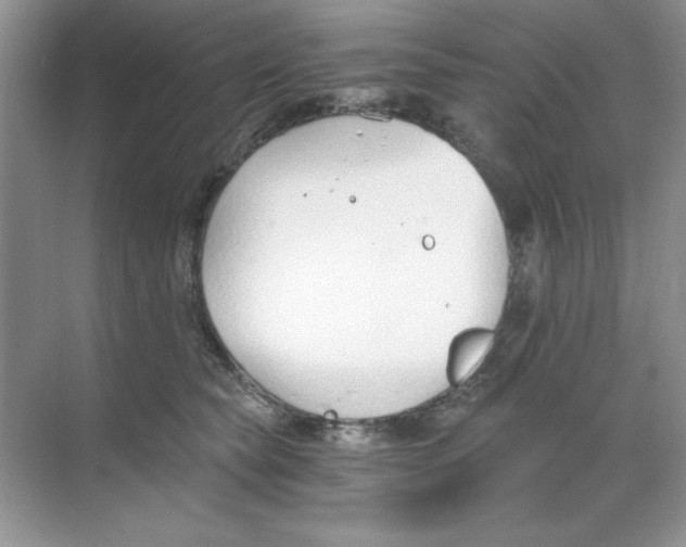 X0000068730565200605192322