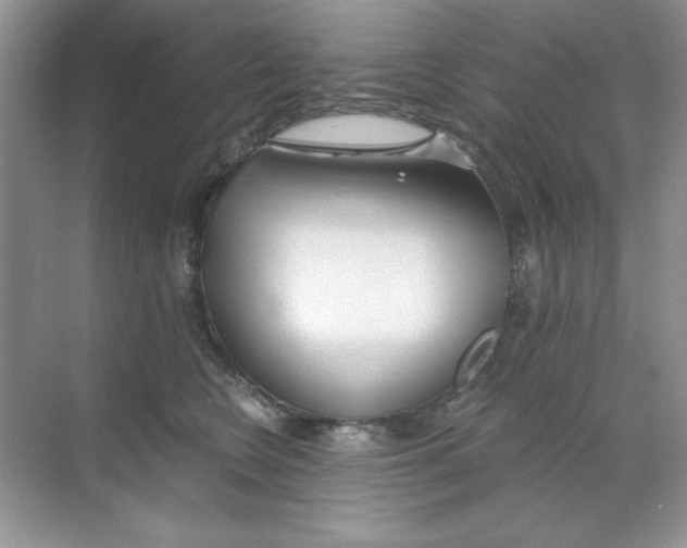 X0000068730566200605192322