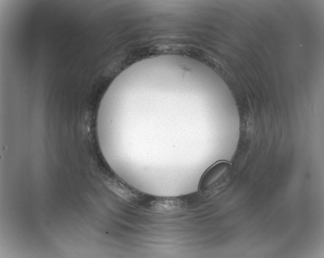 X0000068730567200605192322