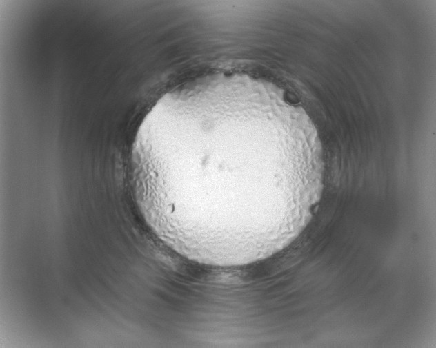 X0000068730569200605192322