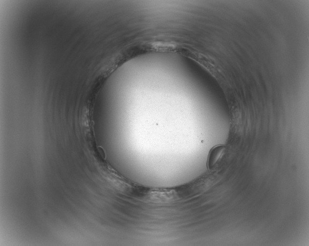 X0000068730571200605192322