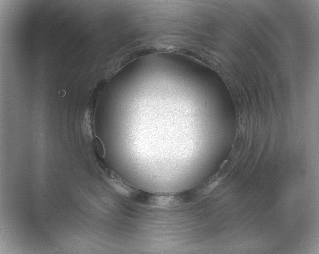 X0000068730575200605192322