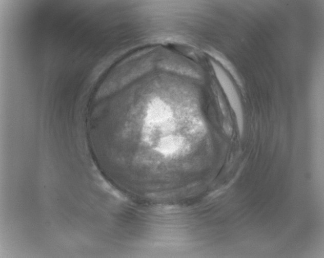 X0000068730577200605192321