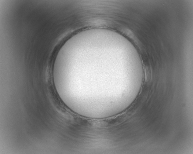 X0000068730579200605192321