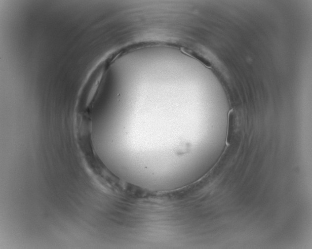 X0000068730580200605192321