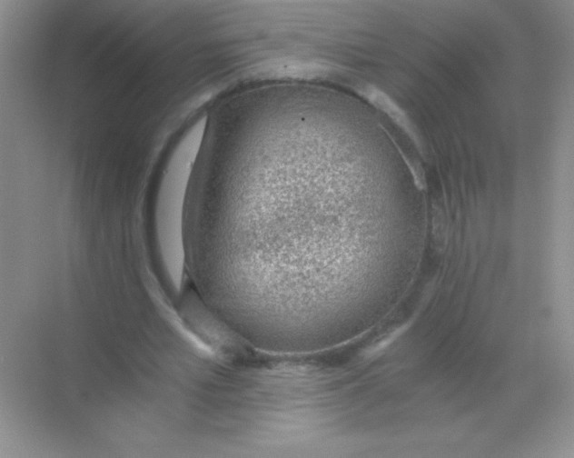 X0000068730581200605192321