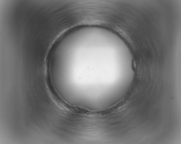 X0000068730584200605192321