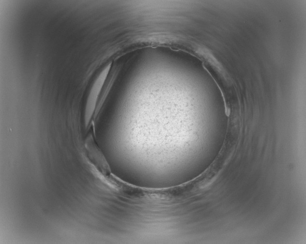 X0000068730585200605192321