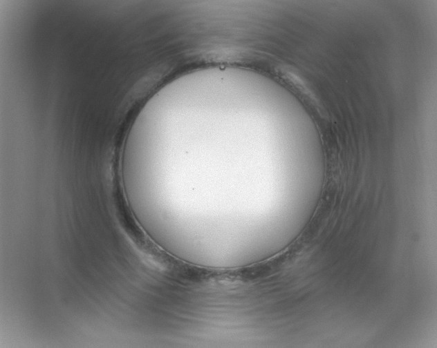 X0000068730586200605192321