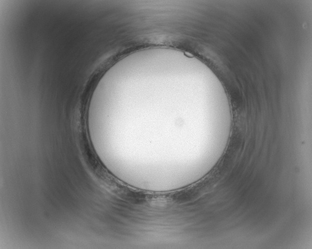 X0000068730587200605192321