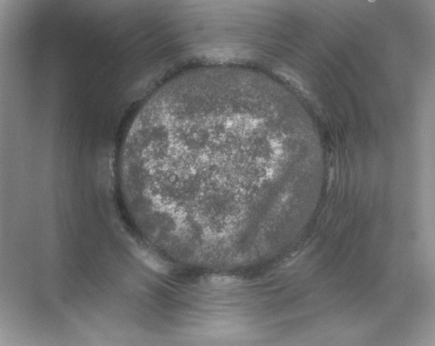 X0000068730590200605192321