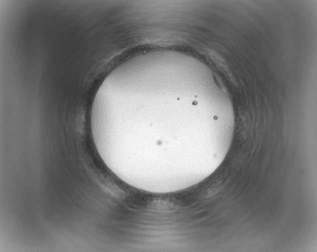 X0000068730596200605192321