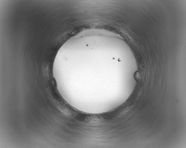 X0000068730597200605192321