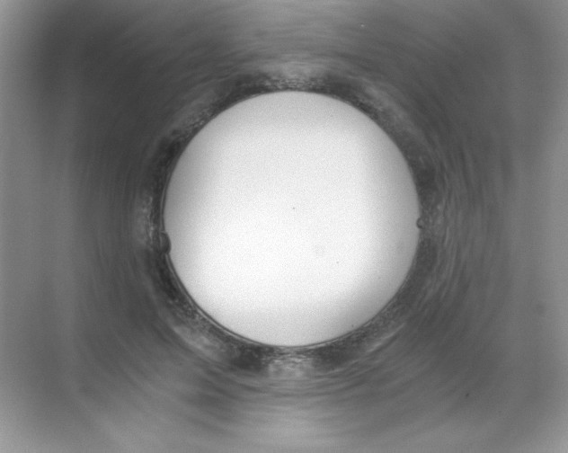 X0000068730599200605192321