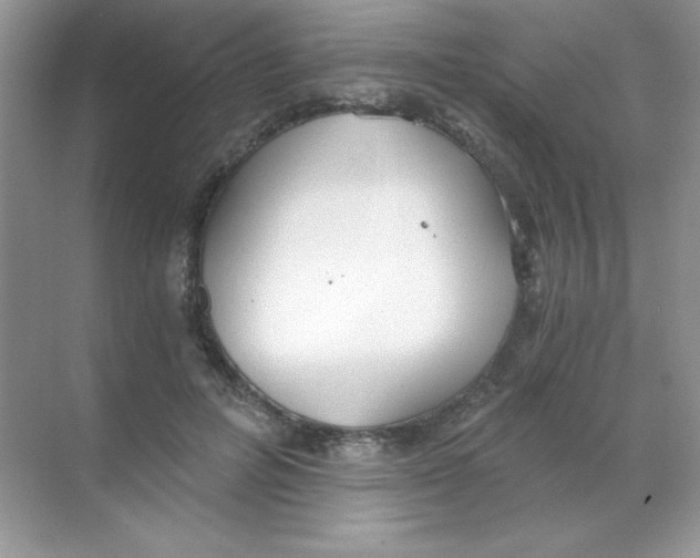 X0000068730600200605192321