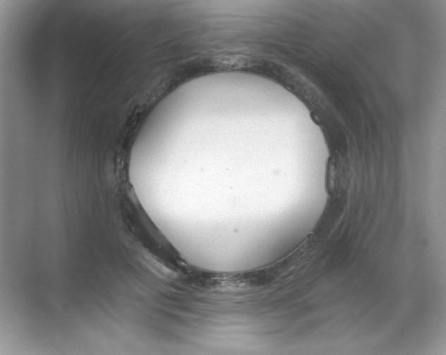 X0000068730601200605192321