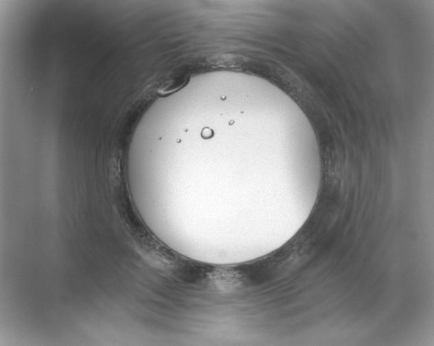 X0000068730603200605192321