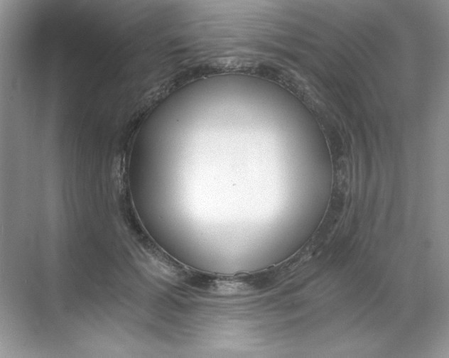 X0000068730605200605192321