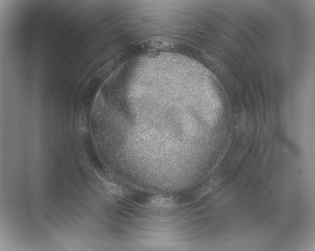 X0000068730606200605192321