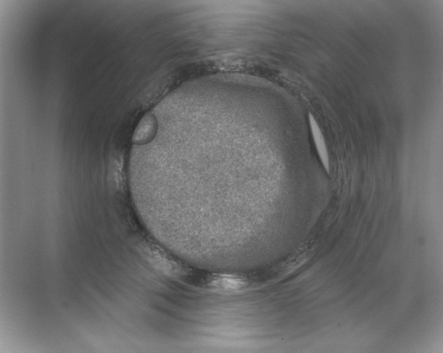 X0000068730610200605192321