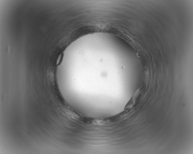 X0000068730613200605192321