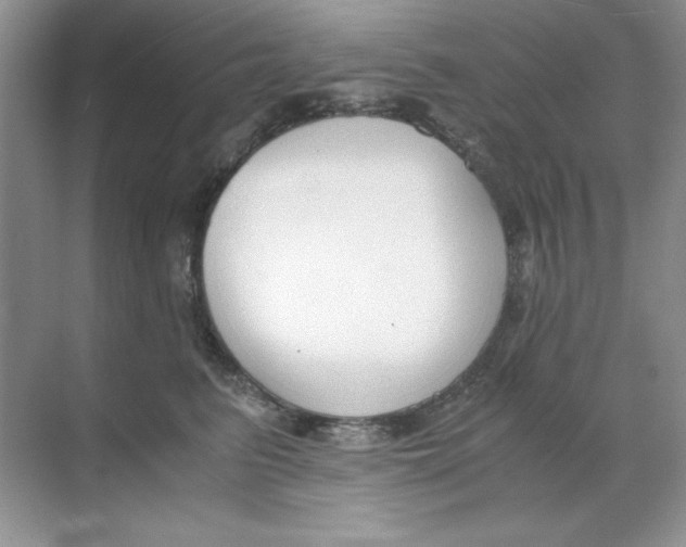 X0000068730615200605192321