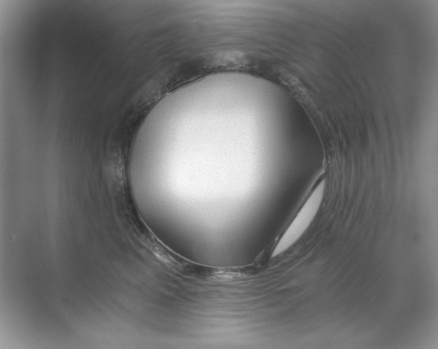 X0000068730617200605192321