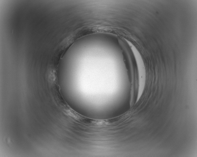 X0000068730621200605192321