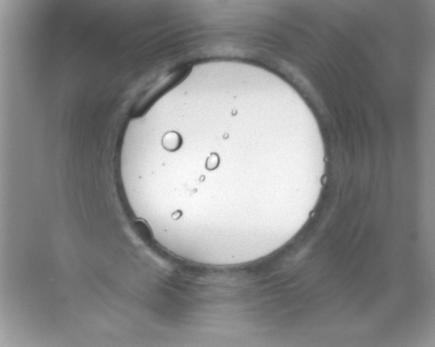 X0000068730625200605192320