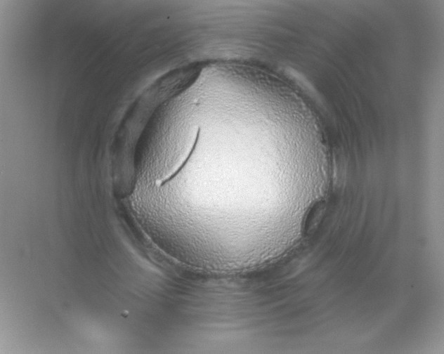 X0000068730627200605192320