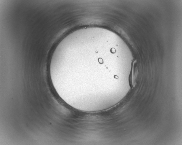 X0000068730629200605192320