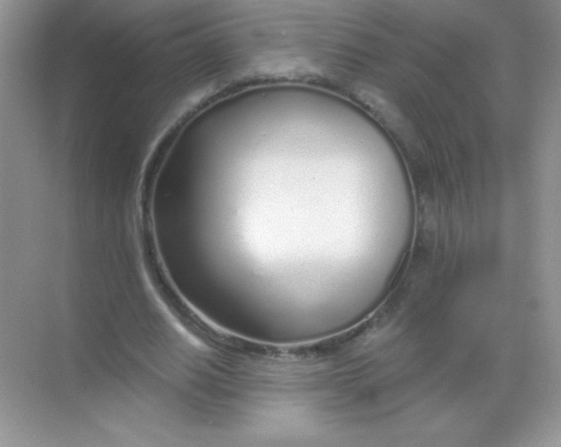 X0000068730630200605192320