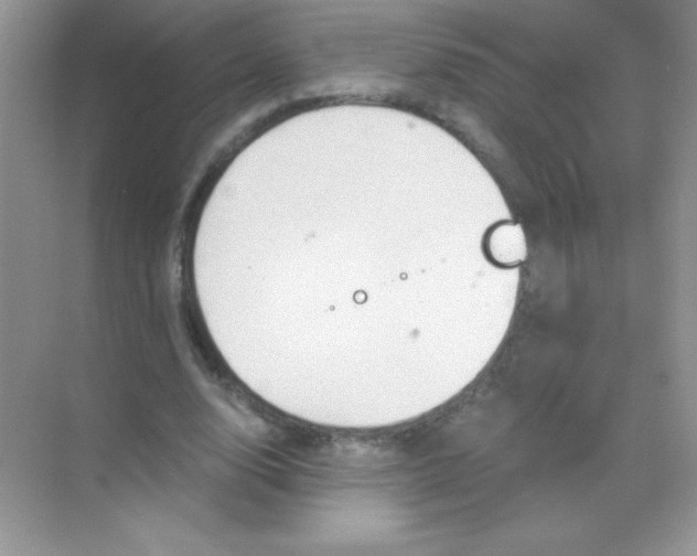 X0000068730632200605192320