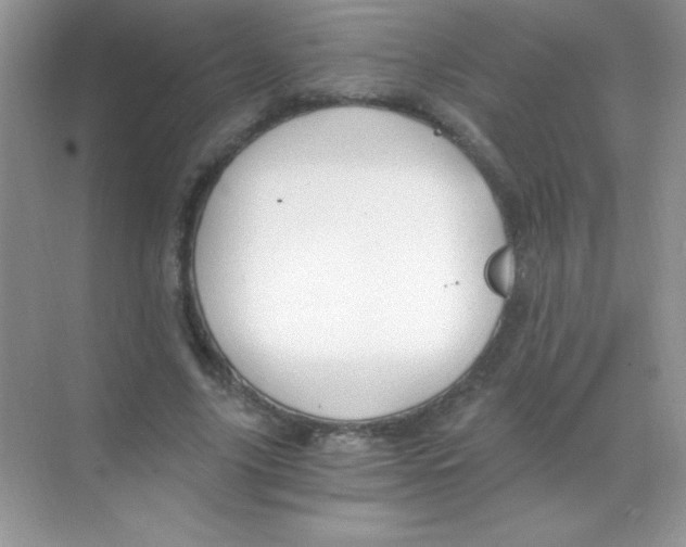 X0000068730635200605192320