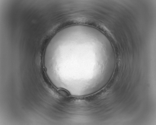 X0000068730637200605192320