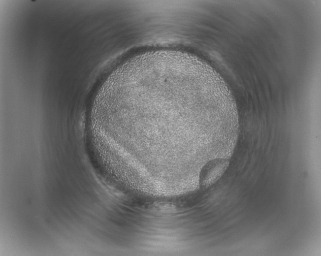 X0000068730640200605192320